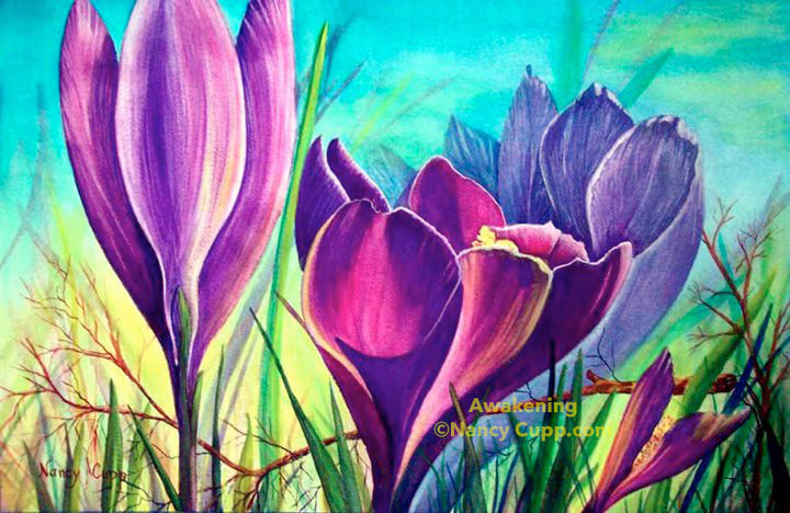 AWAKENING watercolor by Nancy Cupp of crocus emerging from the ground