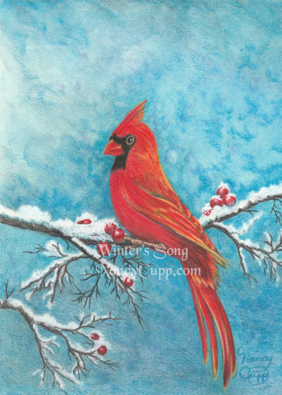 WINTER'S SONG colored pencil by Nancy Cupp. Red cardinal on snow covered branch.