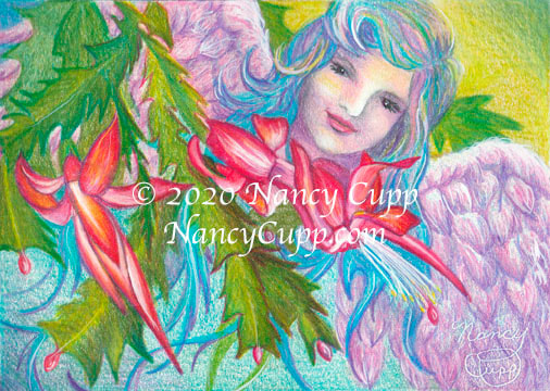 ©2020. Nancy Cupp.  All rights reserved.  "Angel Cactus" is a colored pencil study of my Christmas cactus flowers with an angel peeking through them.