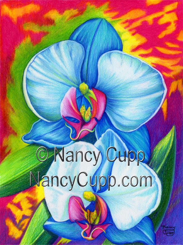 BLISS colored pencil drawing of two blue orchids by Nancy Cupp