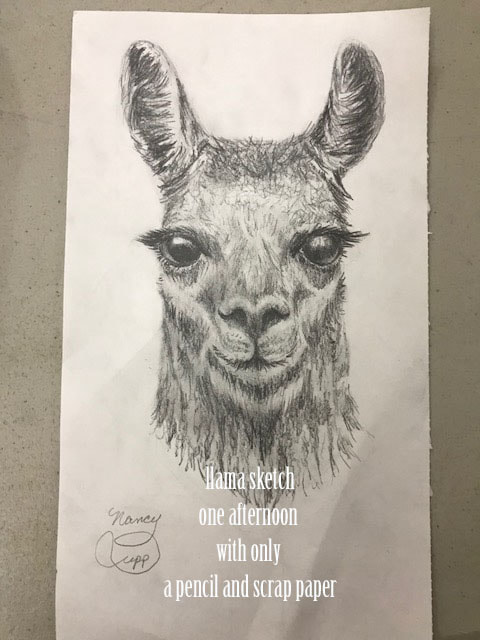 LA LLAMA graphite pencil drawing by Nancy Cupp of a friend's llama, drawn on a scrap of paper which was the only thing available at the time.