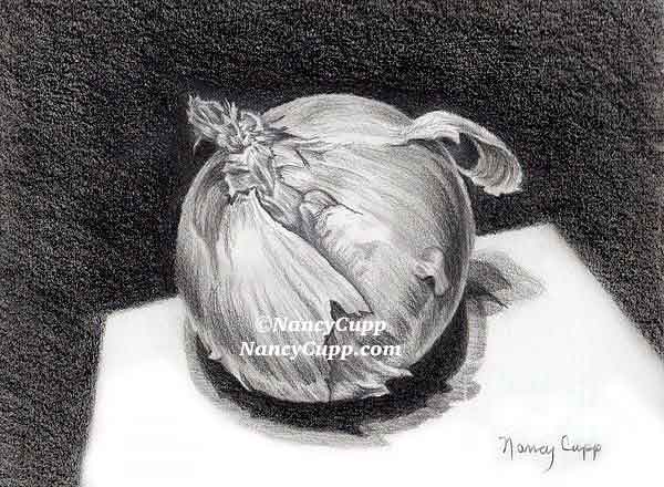 THE ONION graphite drawing by Nancy Cupp of an onion on paper with a black background. It was made as an example to show drawing students 