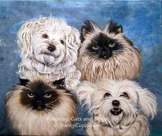 REIGNING CATS AND DOGS acrylic painting by Nancy Cupp of two himalayan cats and their friends, half Bichon Frise and King Charles Cavalier breeds. Commissioned painting.